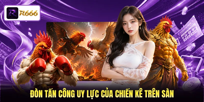 Đòn tấn công uy lực của chiến kê trên sàn